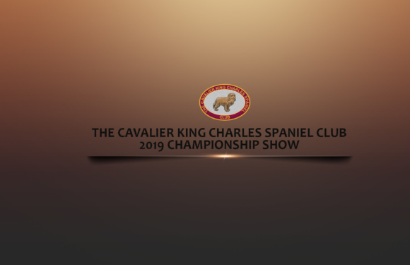 CKCS Club Championship Show